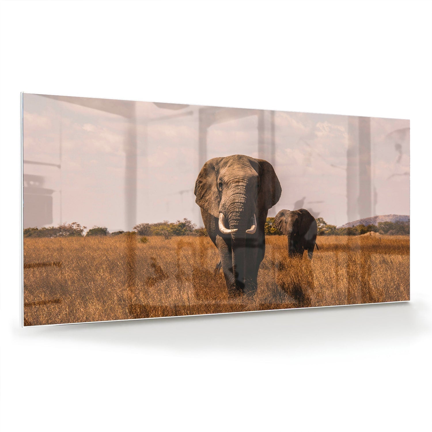 Wunderschönes Glasbild mit Elefanten in der Natur – Glasbild aus Sicherheitsglas, Größe 70x70_rond