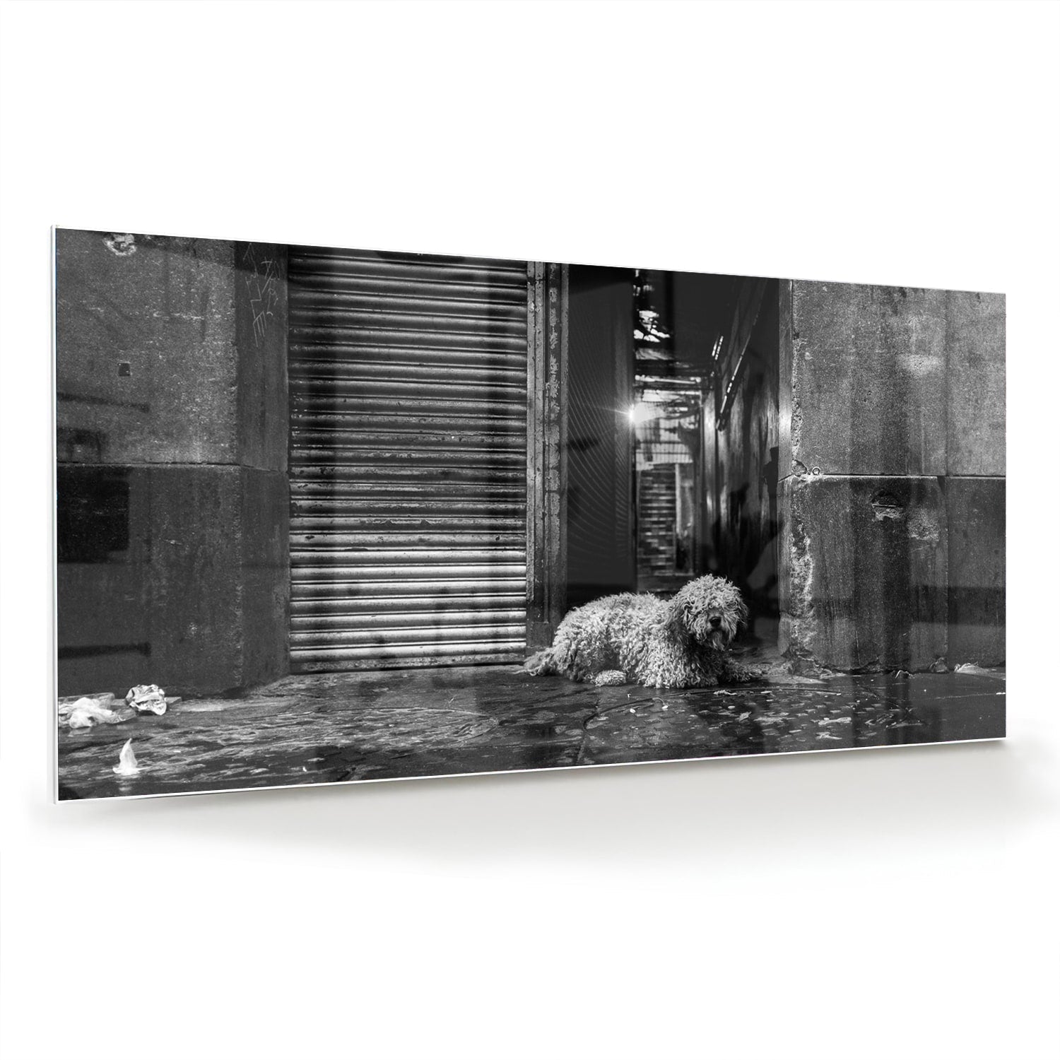 Schwarz-Weiß-Glasbild mit Hund in regnerischer Straßenszene – Glasbild aus Sicherheitsglas, Größe 70x70_rond