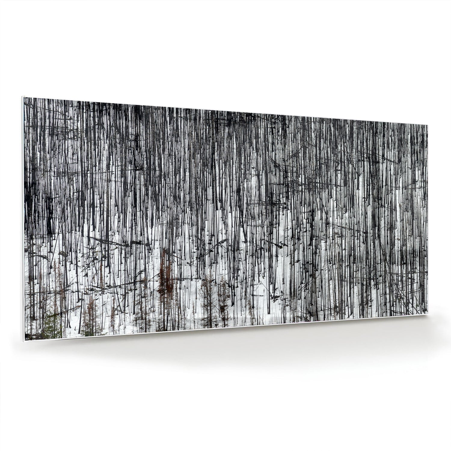Minimalistisches Glasbild mit Bäumen – Glasbild aus Sicherheitsglas, Größe 70x70_rond