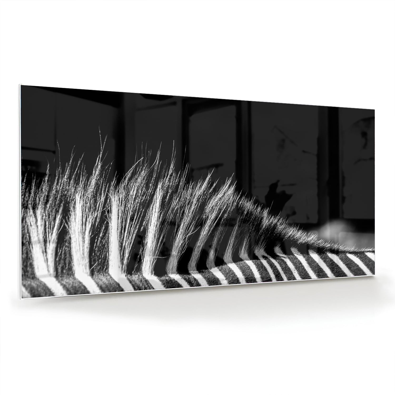 Modernes Schwarz-Weiß-Glasbild – Glasbild aus Sicherheitsglas, Größe 70x70_rond