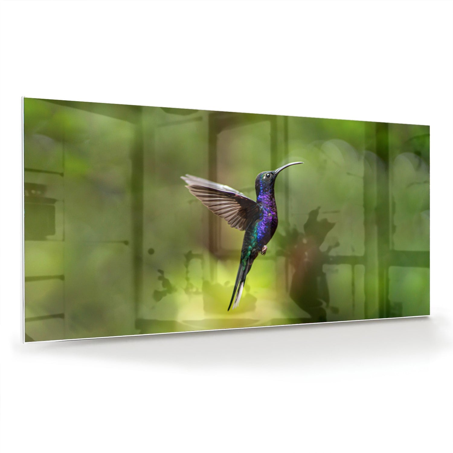Glasbild mit fliegendem Kolibri inmitten grüner Ruhe – Glasbild aus Sicherheitsglas, Größe 70x70_rond