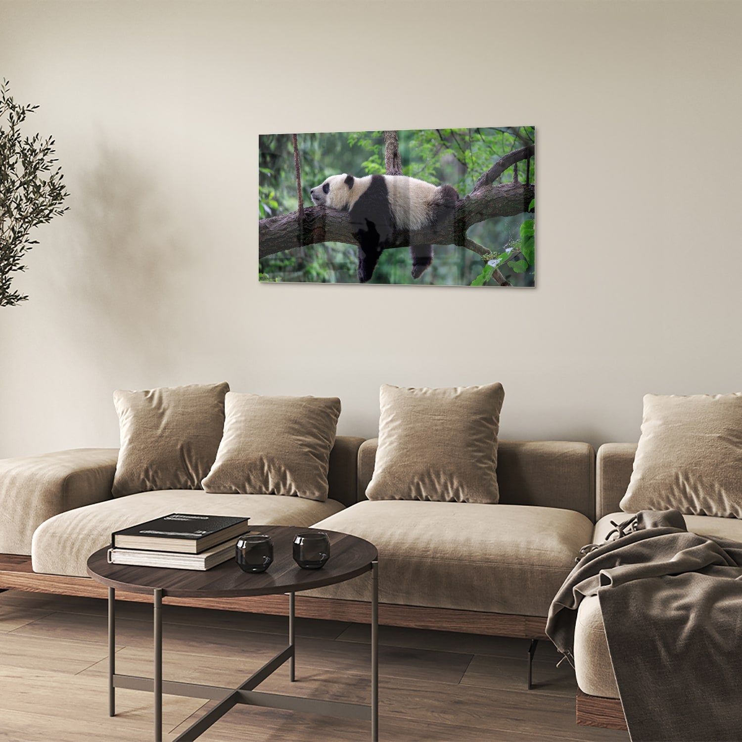 Glasbild mit entspanntem Panda auf einem Ast – Glasbild aus Sicherheitsglas, Größe 100x60