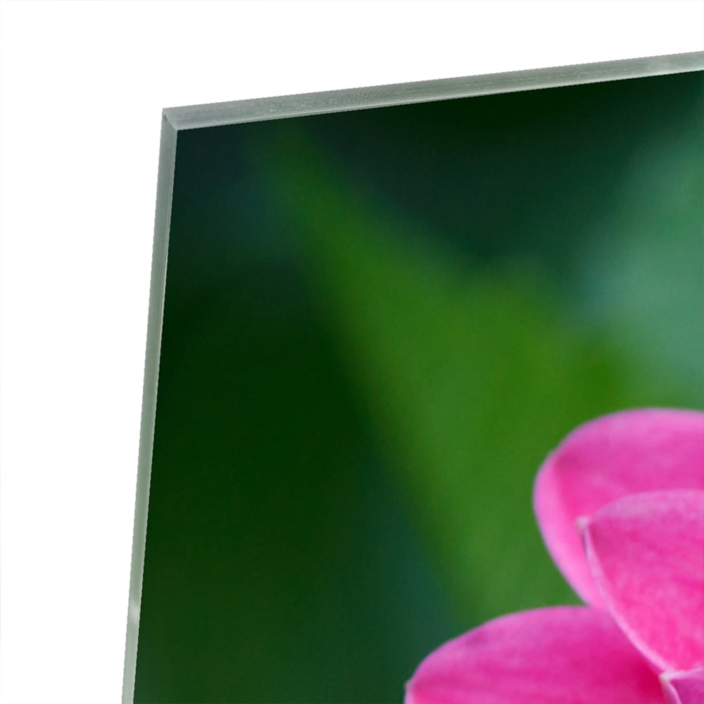 Wunderschönes Glasbild mit rosa Blume – Glasbild aus Sicherheitsglas, Größe 80x80_rond