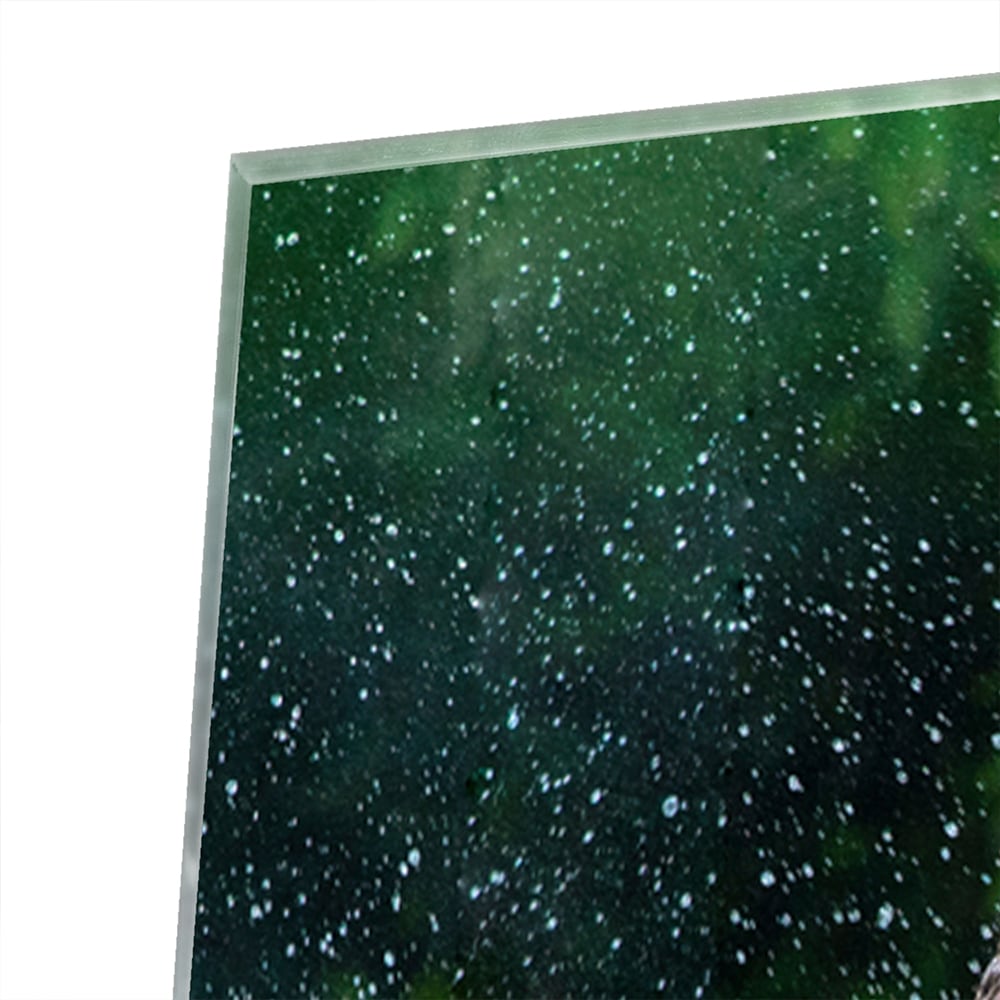 Wunderschönes Glasbild mit einem Elefanten im Wasser – Glasbild aus Sicherheitsglas, Größe 80x80_rond