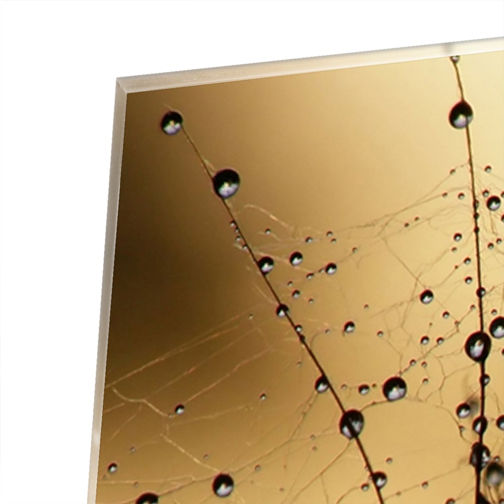 Glasbild mit goldenen Wassertropfen – Glasbild aus Sicherheitsglas, Größe 80x80_rond