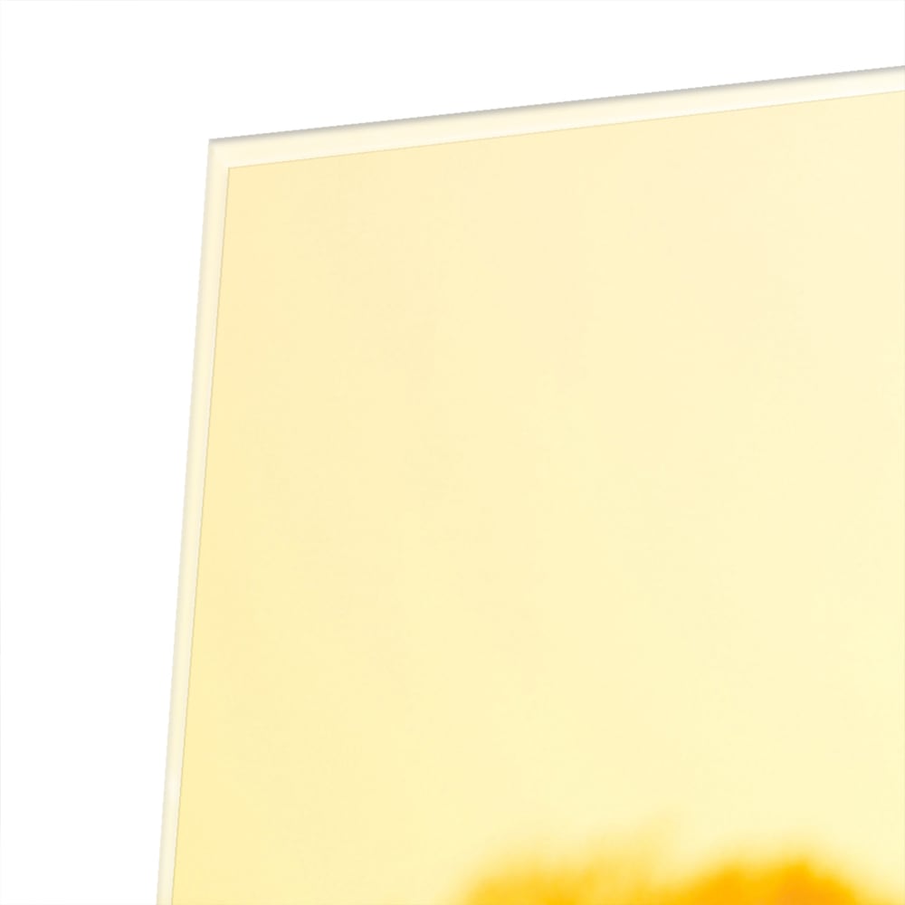 Glasbild mit einem Hirsch in der aufgehenden Sonne – Glasbild aus Sicherheitsglas, Größe 80x80_rond
