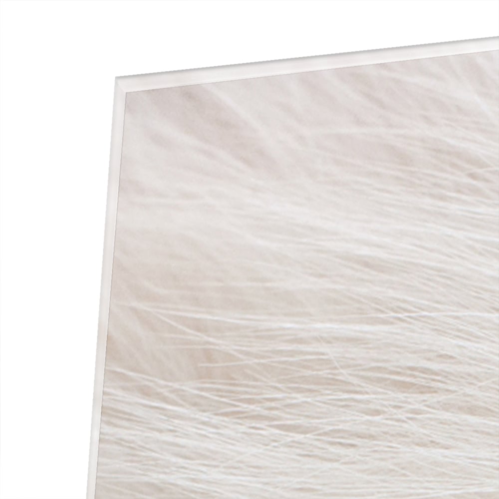 Minimalistisches Glasbild mit Naturmotiv – Glasbild aus Sicherheitsglas, Größe 80x80_rond