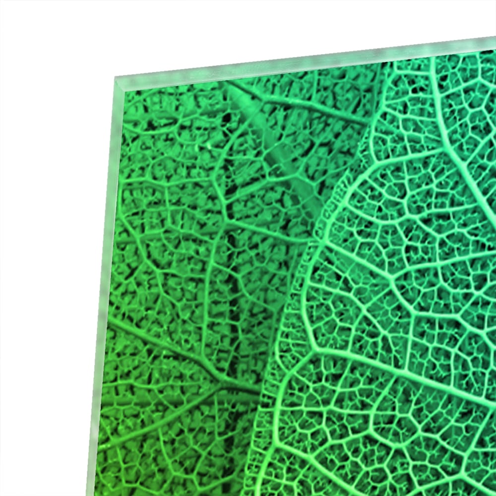 Glasbild mit strukturierter Oberfläche aus grünen Blättern – Glasbild aus Sicherheitsglas, Größe 80x80_rond