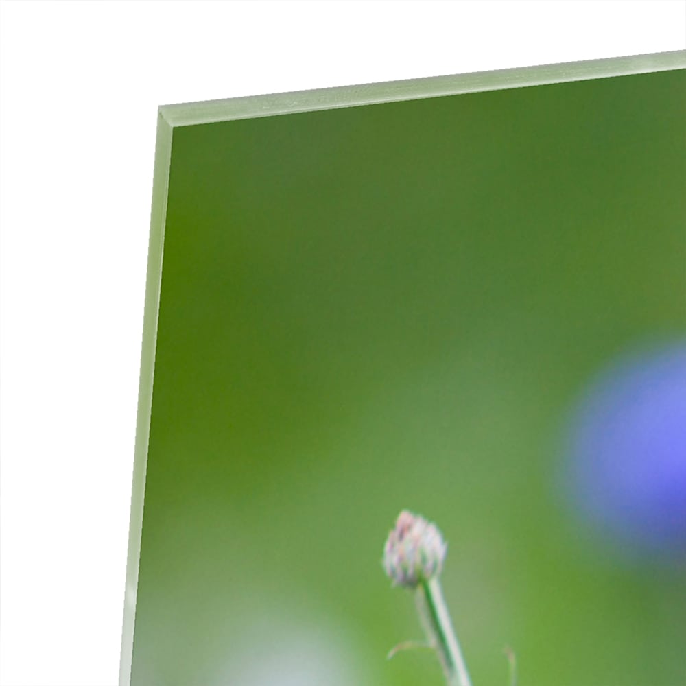 Glasbild mit violetten Blumen in ruhiger Szenerie – Glasbild aus Sicherheitsglas, Größe 80x80_rond