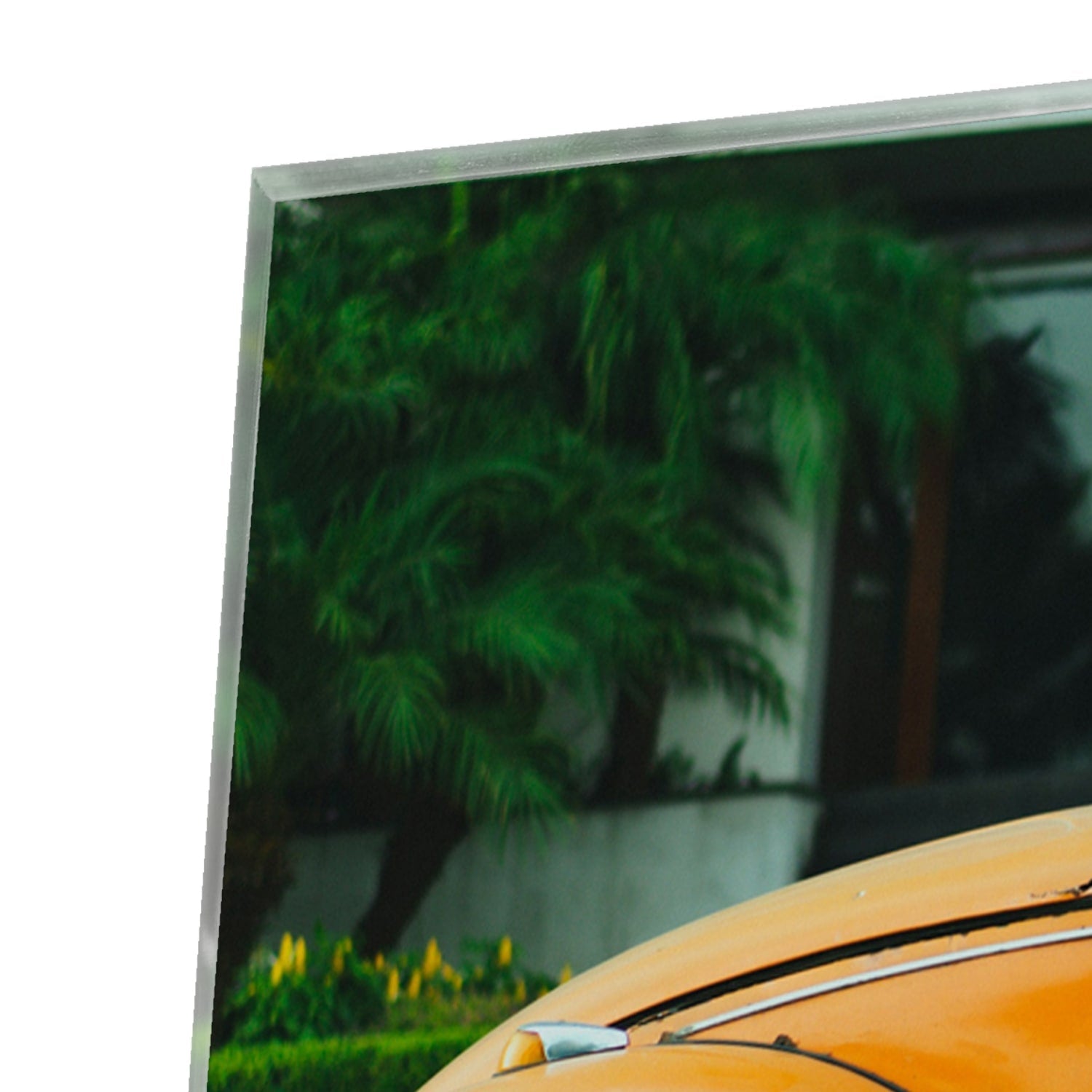 Fröhliches Glasbild mit orangefarbenem Käfer – Glasbild aus Sicherheitsglas, Größe 80x80_rond