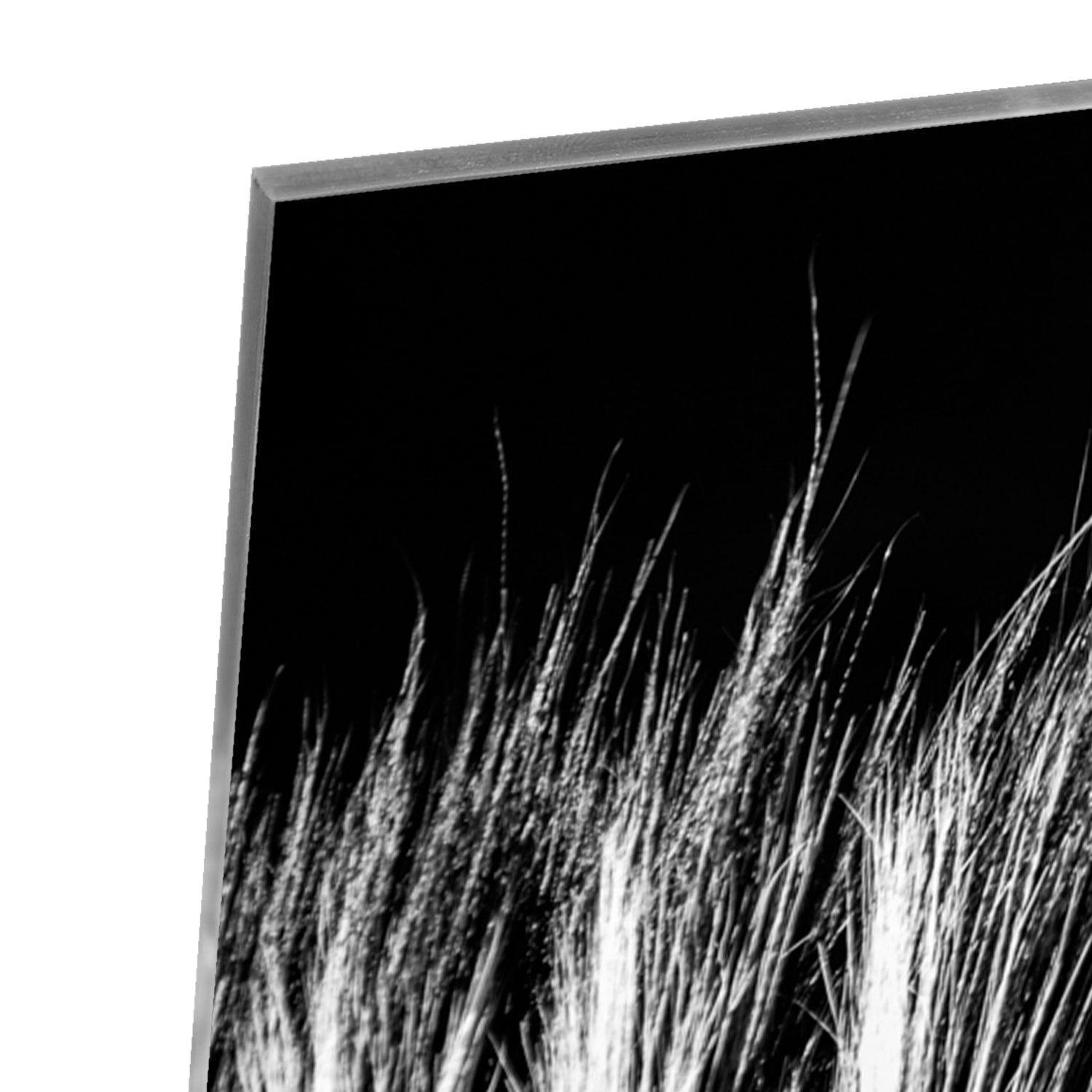 Modernes Schwarz-Weiß-Glasbild – Glasbild aus Sicherheitsglas, Größe 80x80_rond