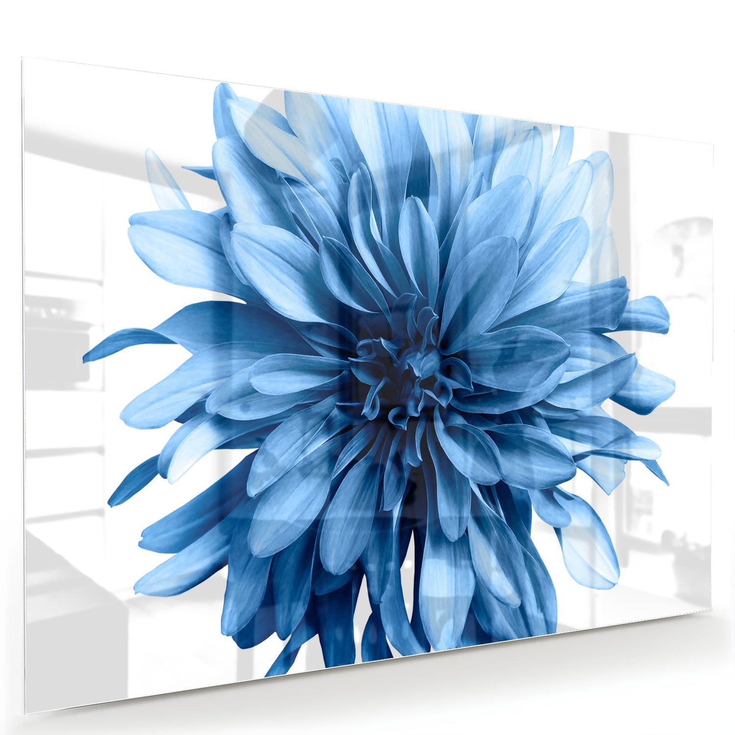 Blaues Glasbild mit einer Blume – Glasbild aus Sicherheitsglas, Größe 60x40