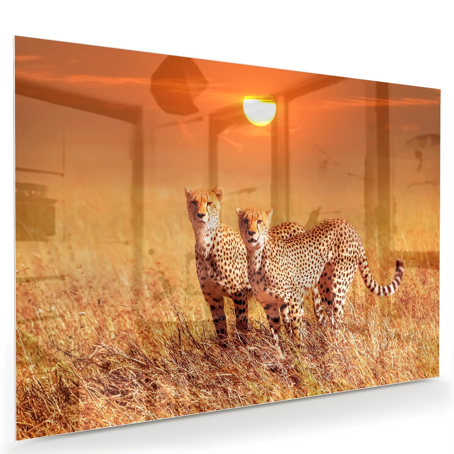 Elegantes Glasbild mit Geparden in der Natur – Glasbild aus Sicherheitsglas, Größe 60x40