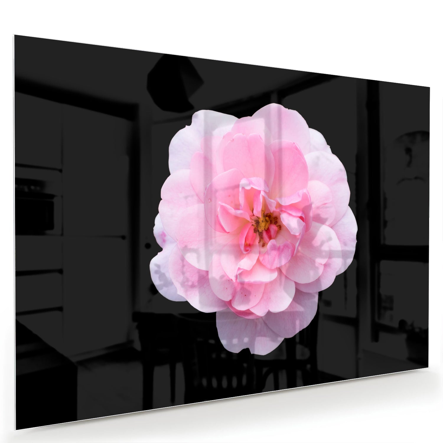 Elegantes Glasbild mit rosa Blume auf schwarzem Hintergrund – Glasbild aus Sicherheitsglas, Größe 60x40