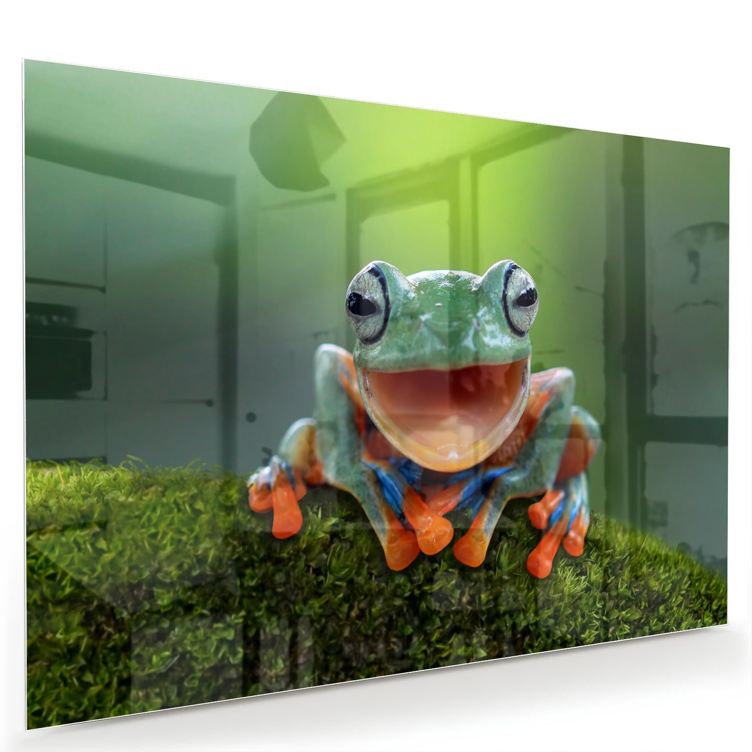 Fröhliches Glasbild mit Laubfrosch – Glasbild aus Sicherheitsglas, Größe 60x40