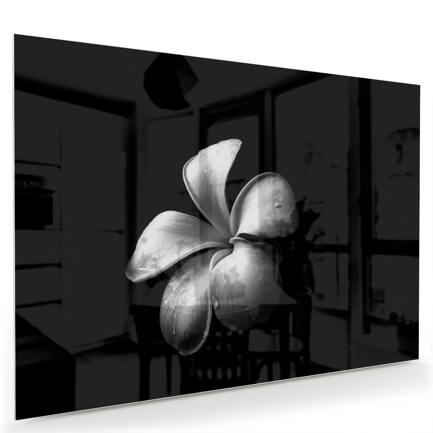 Elegantes schwarzes Glasbild mit Blumenmotiv – Glasbild aus Sicherheitsglas, Größe 60x40