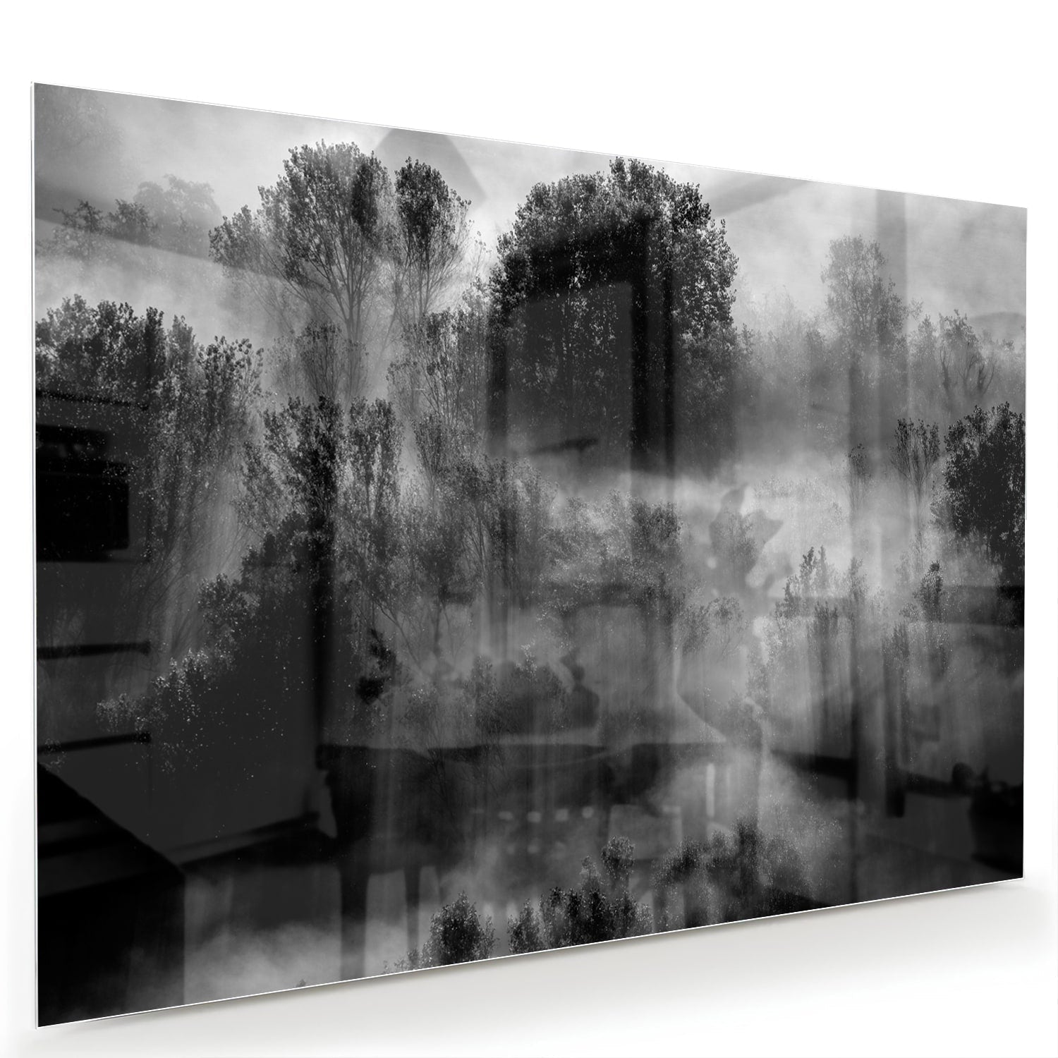 Abstraktes Schwarz-Weiß-Glasbild mit Bäumen – Glasbild aus Sicherheitsglas, Größe 60x40