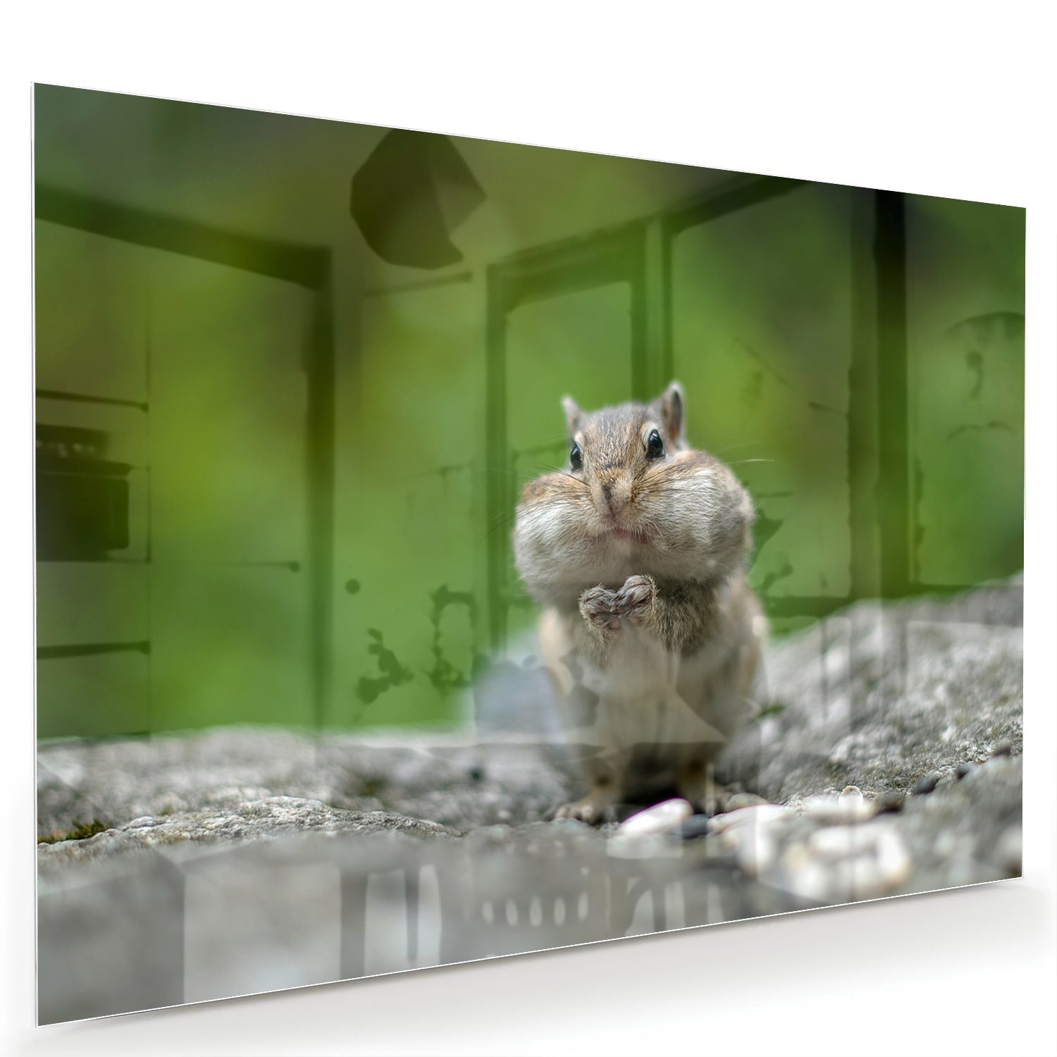Niedliches Glasbild mit Eichhörnchen – Glasbild aus Sicherheitsglas, Größe 60x40