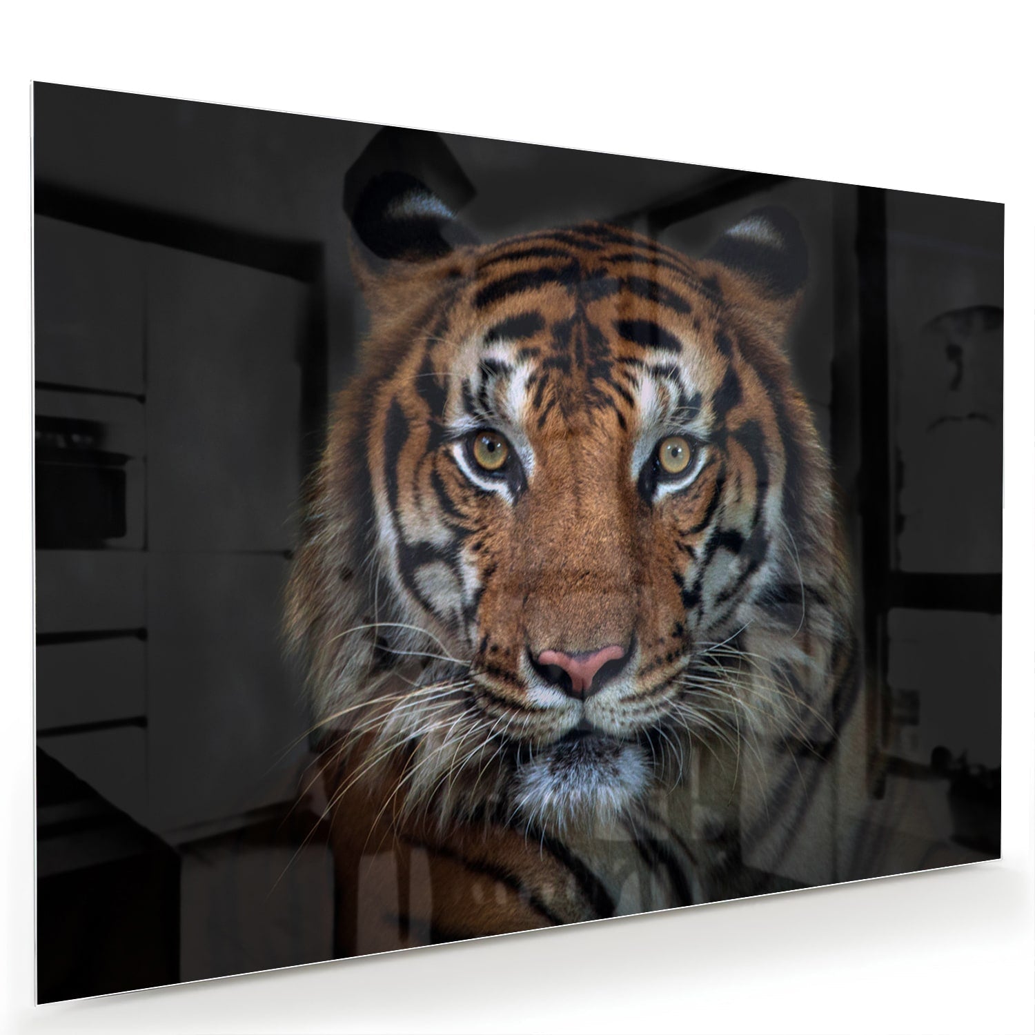 Kraftvoller Tiger – Glasbild für Ihr Interieur – Glasbild aus Sicherheitsglas, Größe 60x40