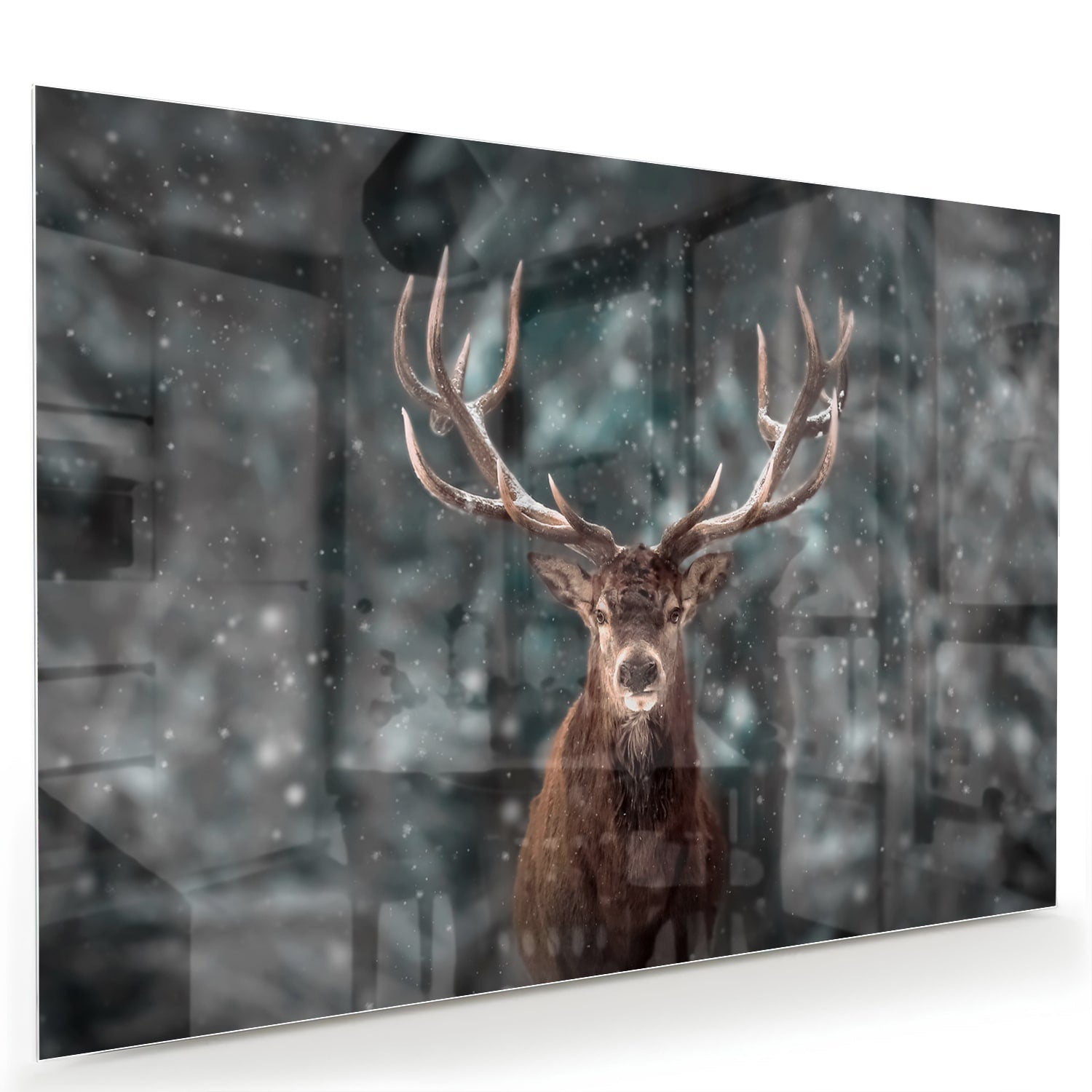 Glasbild mit majestätischem Hirsch in winterlicher Umgebung – Glasbild aus Sicherheitsglas, Größe 60x40