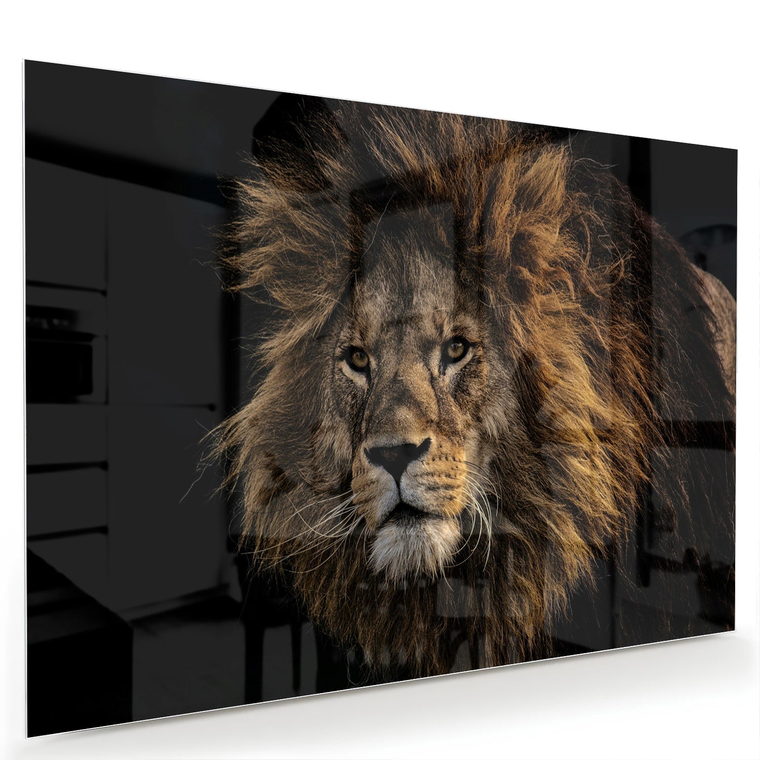Glasbild mit majestätischem Löwen – Glasbild aus Sicherheitsglas, Größe 60x40