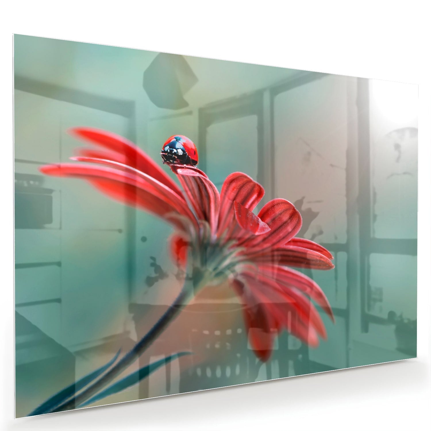 Glasbild mit einer Blume und einem Marienkäfer – Glasbild aus Sicherheitsglas, Größe 60x40