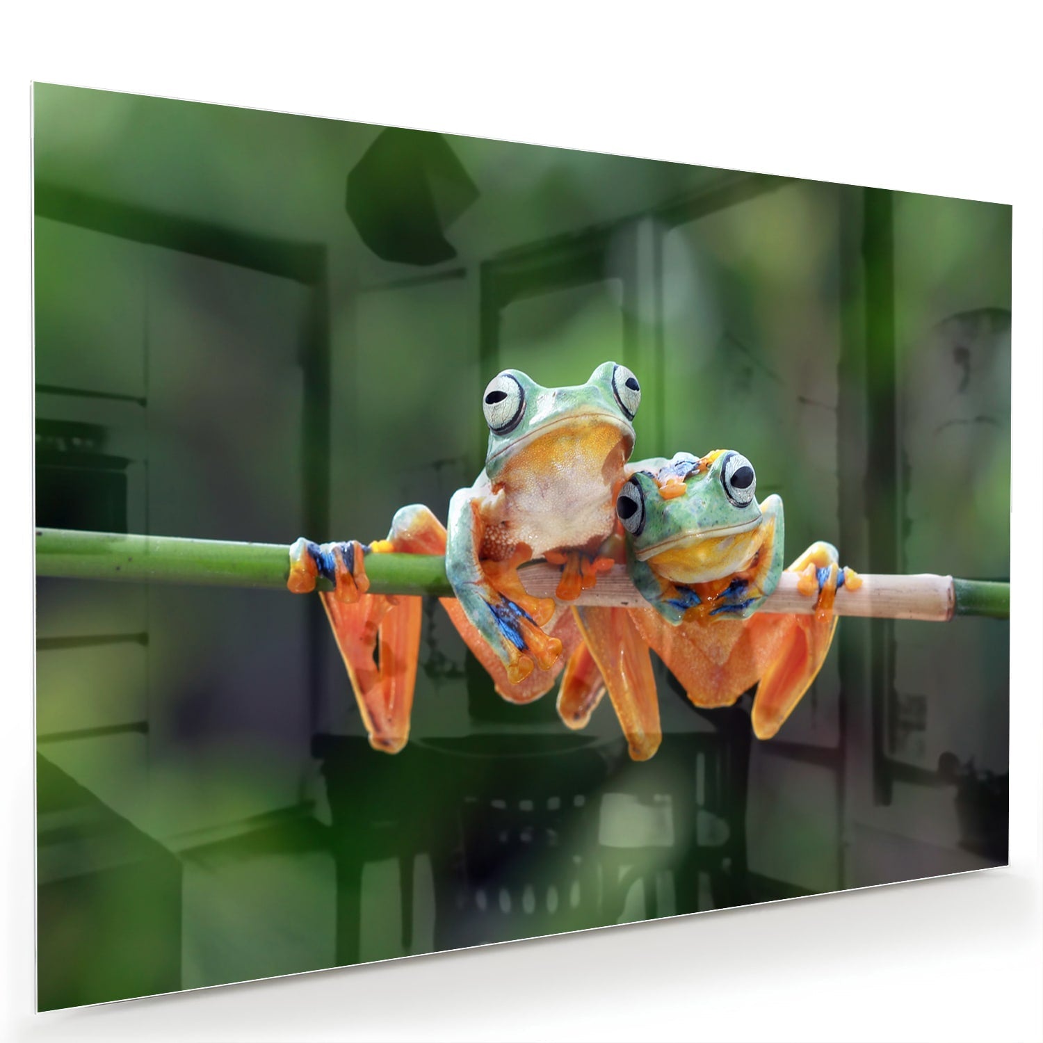 Fröhliches Glasbild mit Frosch auf einem Ast – Glasbild aus Sicherheitsglas, Größe 60x40