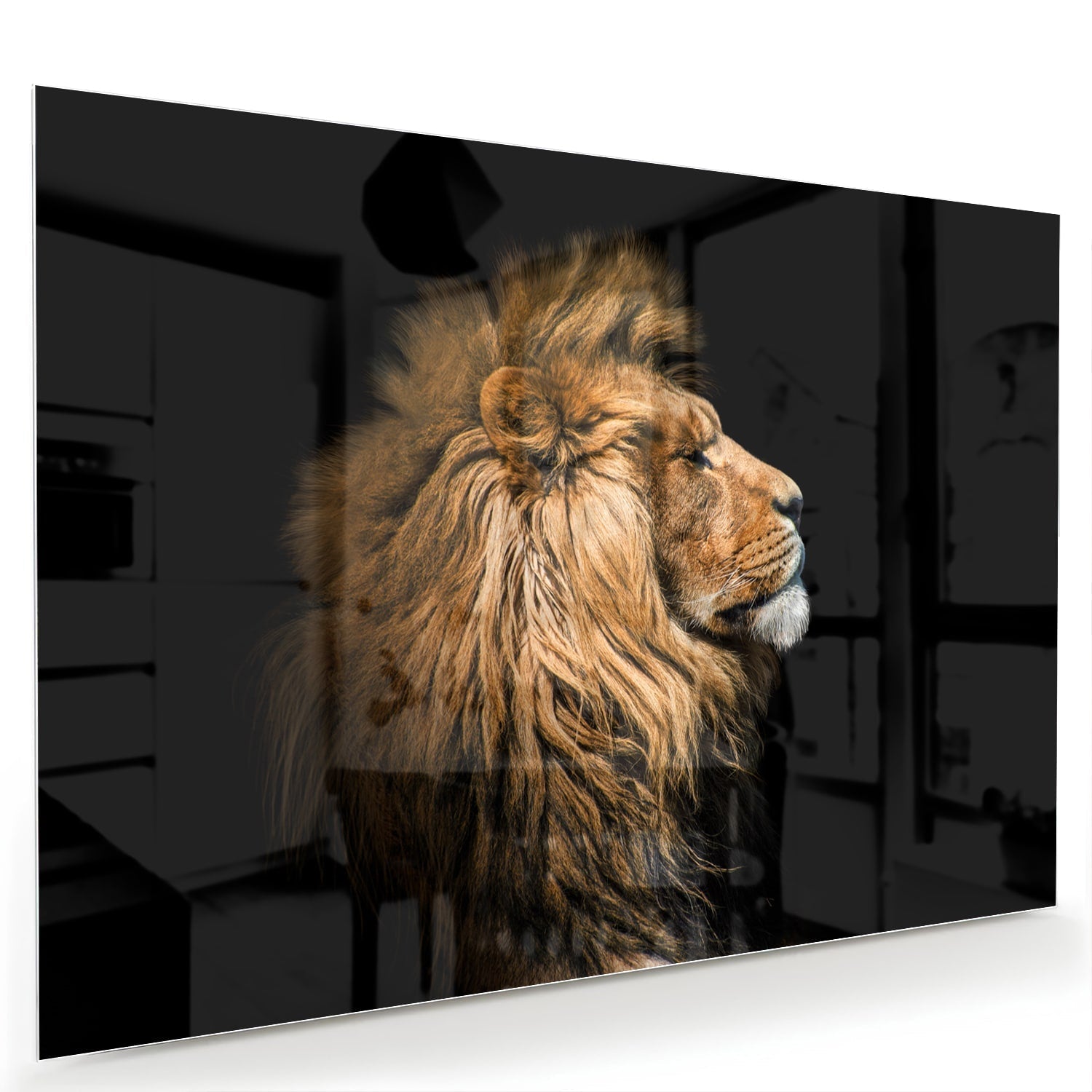Glasbild mit majestätischem Löwen – Glasbild aus Sicherheitsglas, Größe 60x40