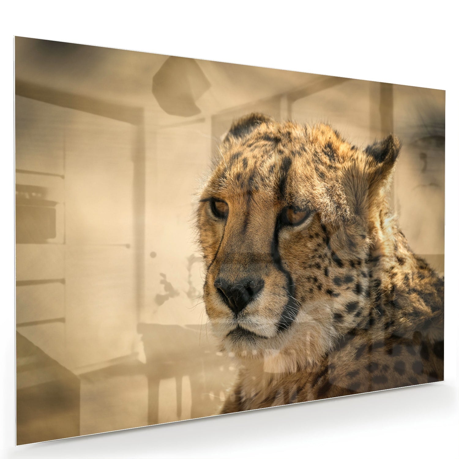 Elegantes Glasbild mit einem Leoparden – Glasbild aus Sicherheitsglas, Größe 60x40