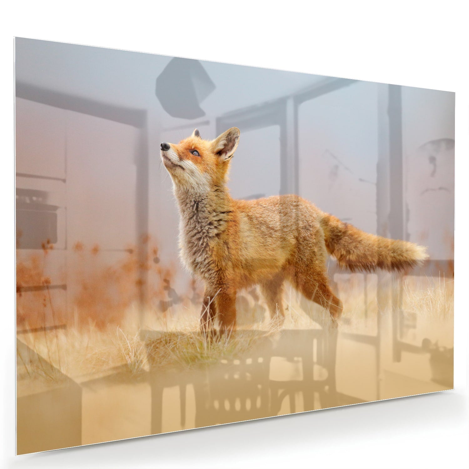 Stilvolles Glasbild mit einem Fuchs in der Natur – Glasbild aus Sicherheitsglas, Größe 60x40