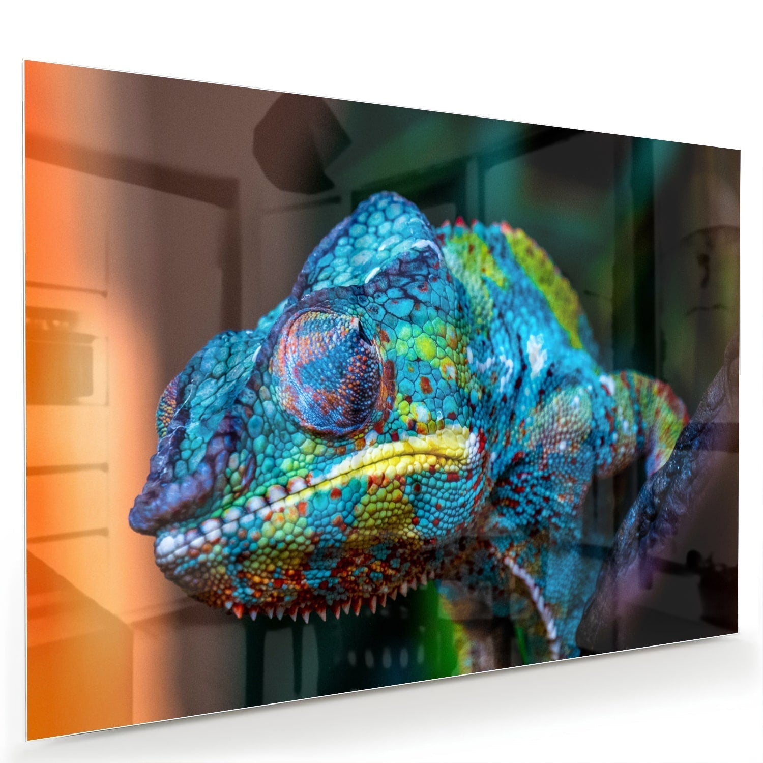 Farbenfrohes Chamäleon Glasbild für Ihr Interieur als moderne Glas-Wanddekoration aus 4 mm Sicherheitsglas