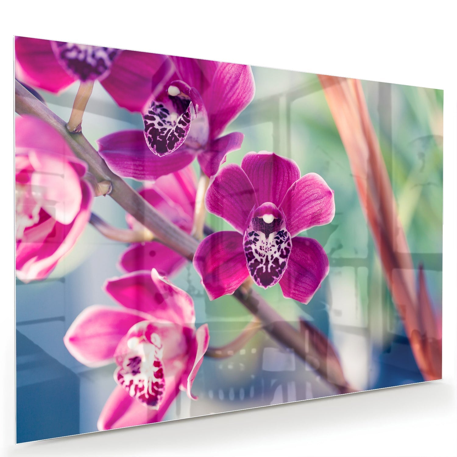 Wunderschönes Glasbild mit violetten Orchideen – Glasbild aus Sicherheitsglas, Größe 60x40