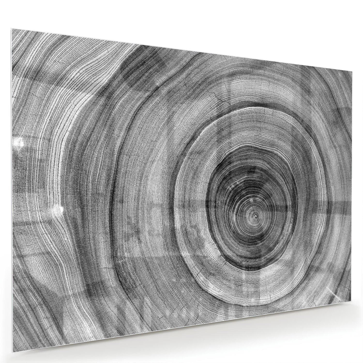 Abstraktes graues Glasbild mit Kreisen – Glasbild aus Sicherheitsglas, Größe 60x40