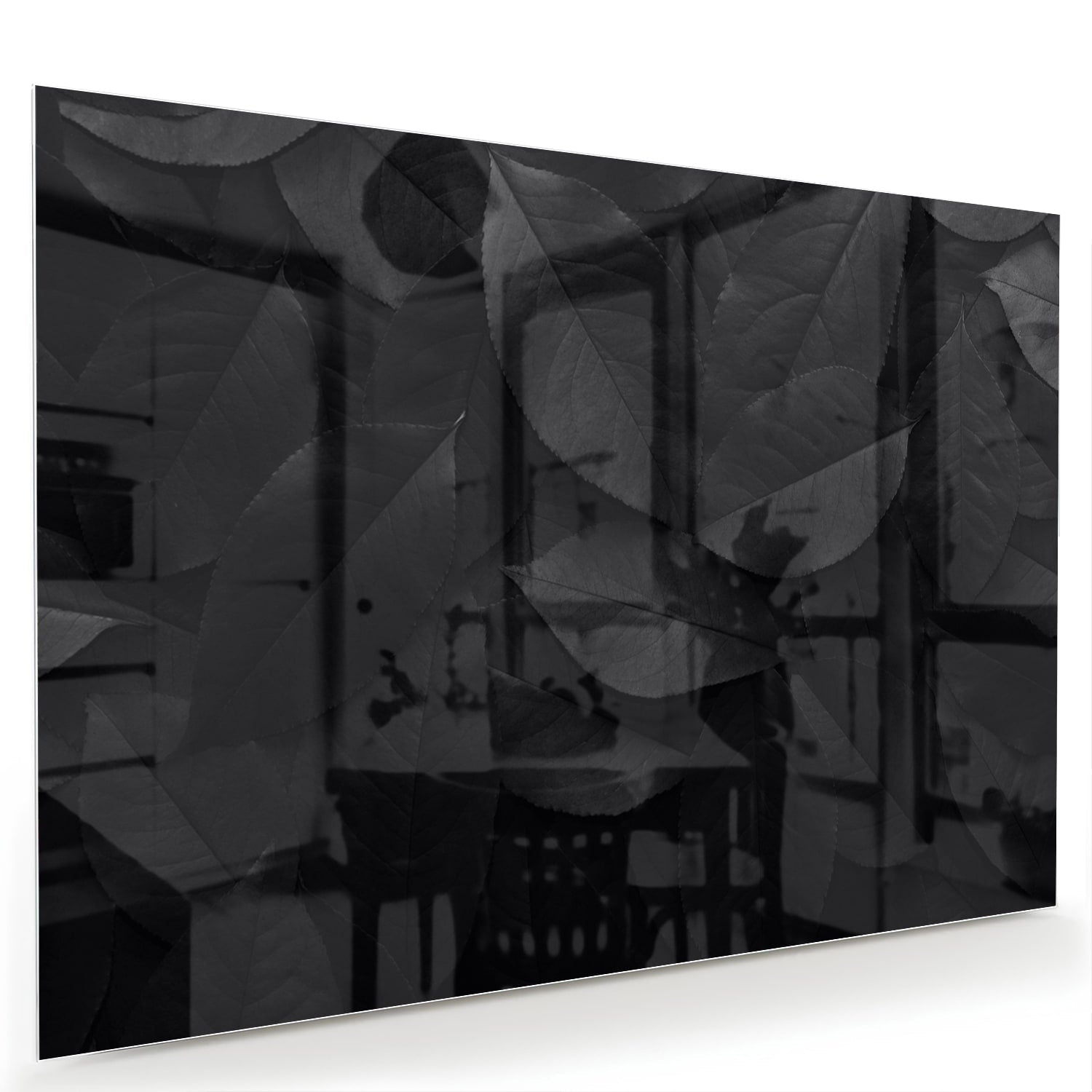 Elegantes Glasbild mit Blättern in Schwarz und Grau – Glasbild aus Sicherheitsglas, Größe 60x40