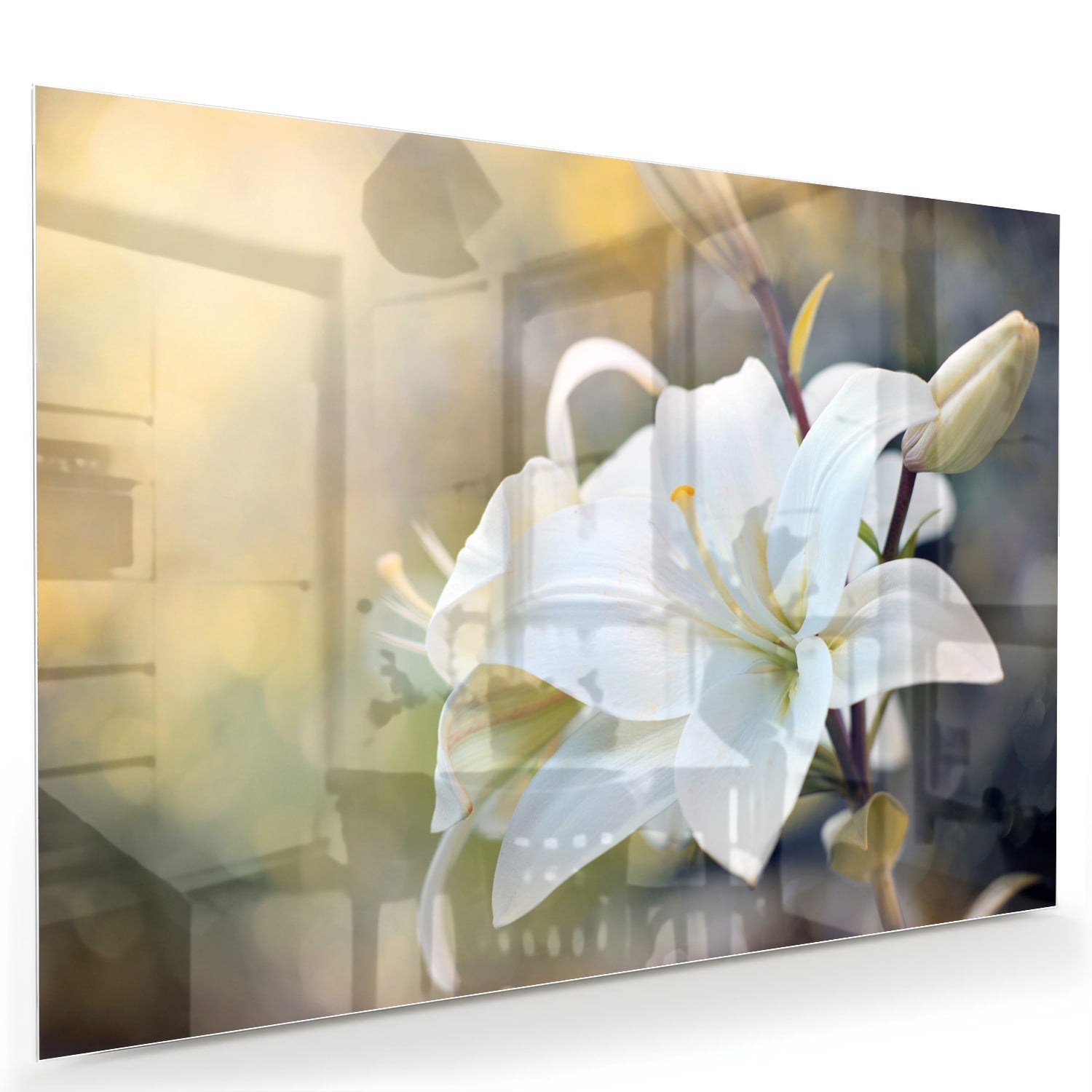 Elegantes Glasbild mit weißer Lilie – Glasbild aus Sicherheitsglas, Größe 60x40