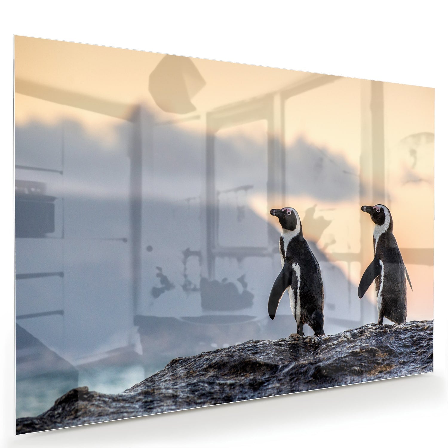 Glasbild mit Pinguinen bei Sonnenuntergang – Glasbild aus Sicherheitsglas, Größe 60x40