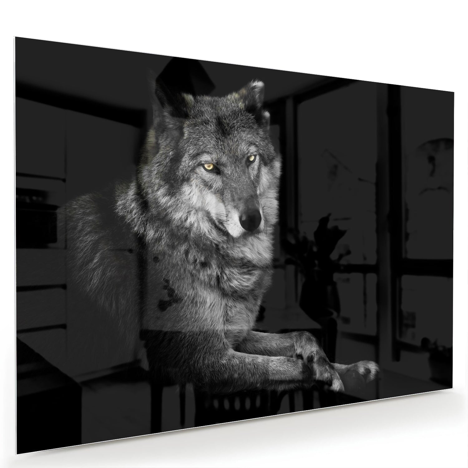 Glasbild mit einem majestätischen Wolf – Glasbild aus Sicherheitsglas, Größe 60x40