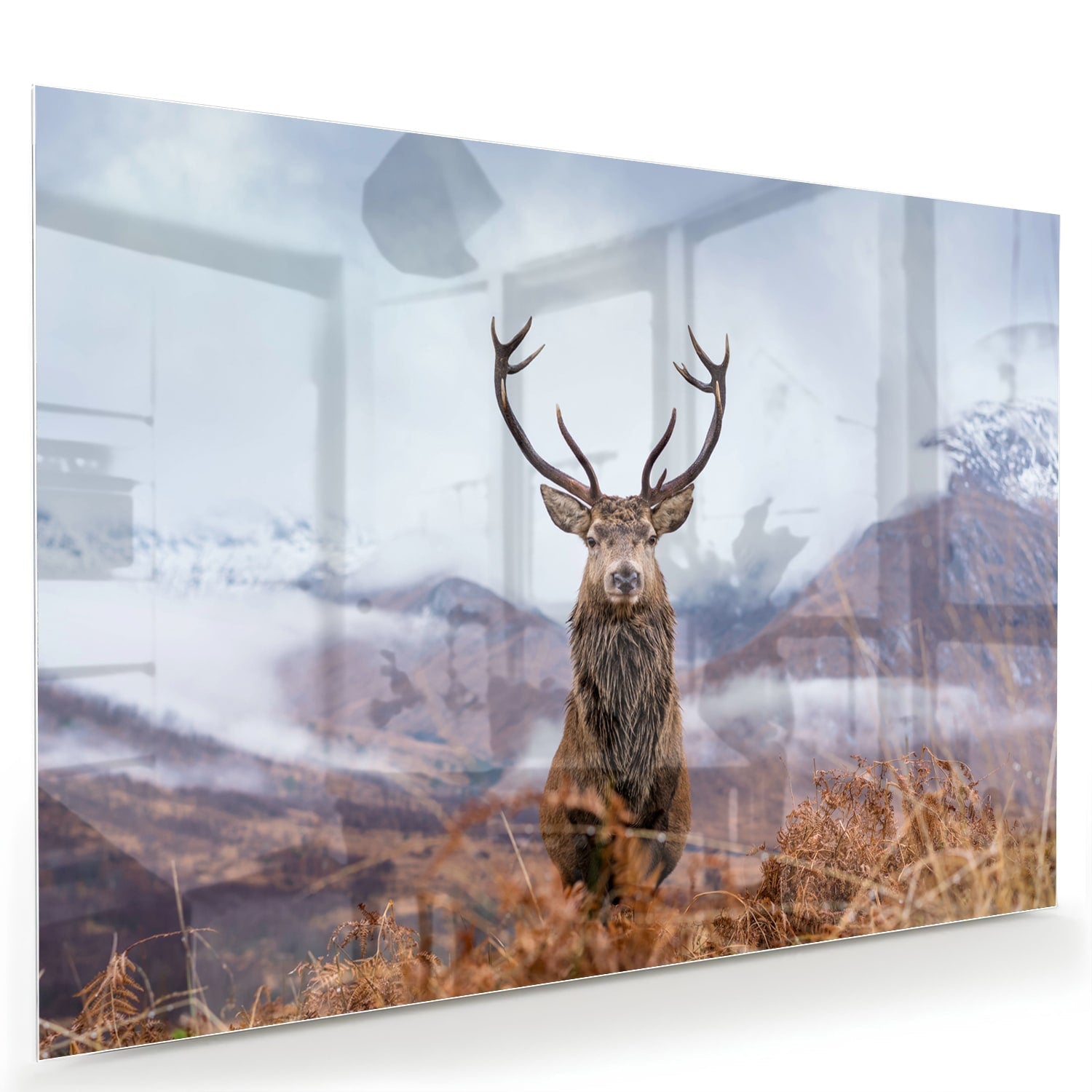 Glasbild mit majestätischem Hirsch in einer ruhigen Berglandschaft – Glasbild aus Sicherheitsglas, Größe 60x40