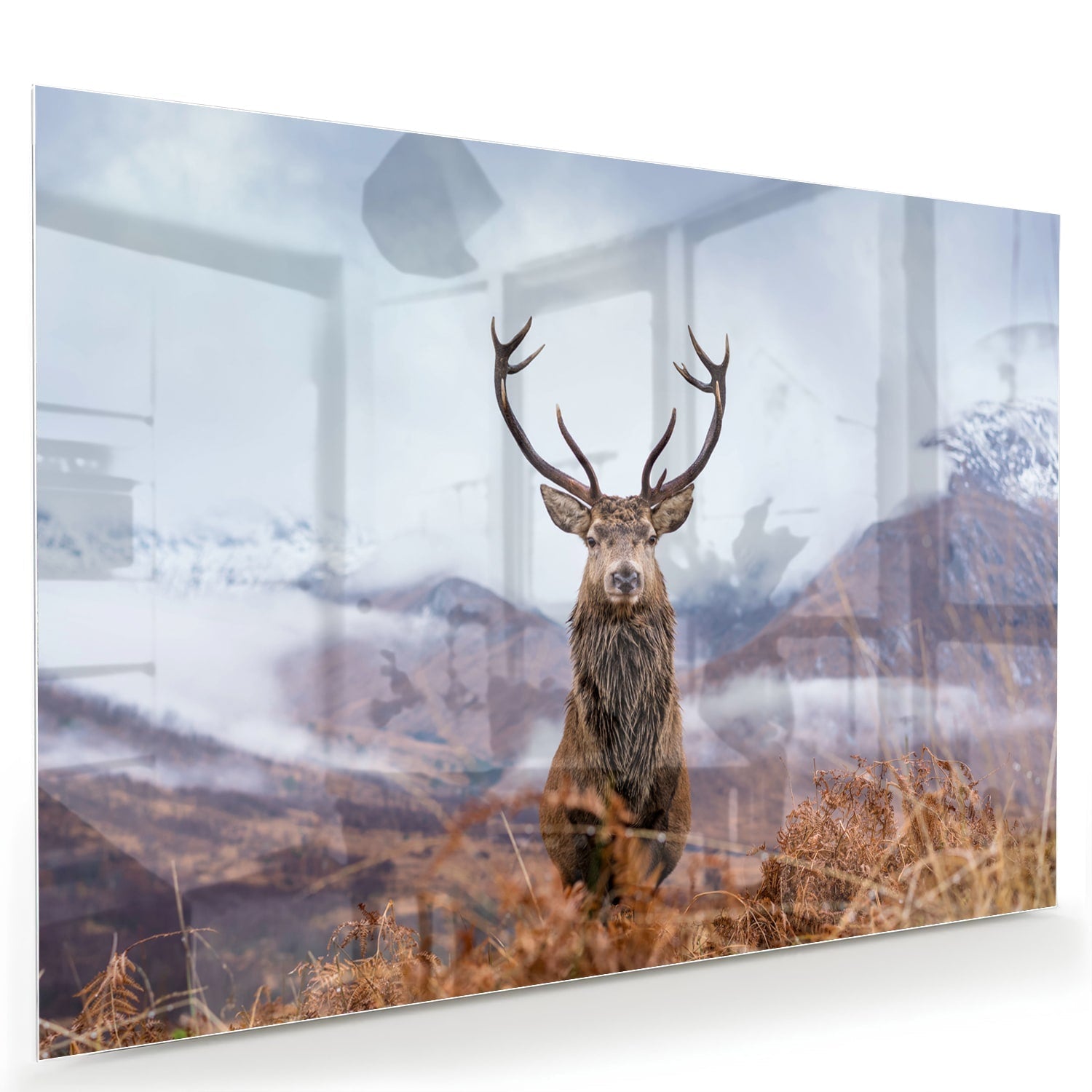 Glasbild Majestueuze hert in ein serene Berglandschaft als moderne Glas-Wanddekoration aus 4 mm Sicherheitsglas