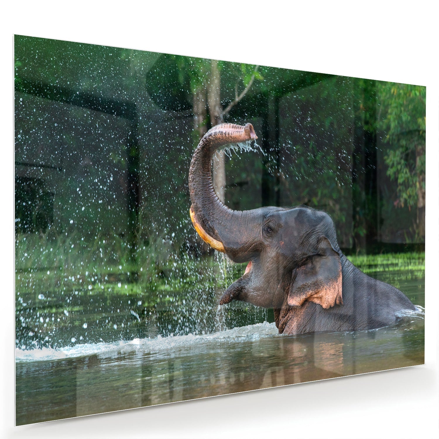 Wunderschönes Glasbild mit einem Elefanten im Wasser – Glasbild aus Sicherheitsglas, Größe 60x40