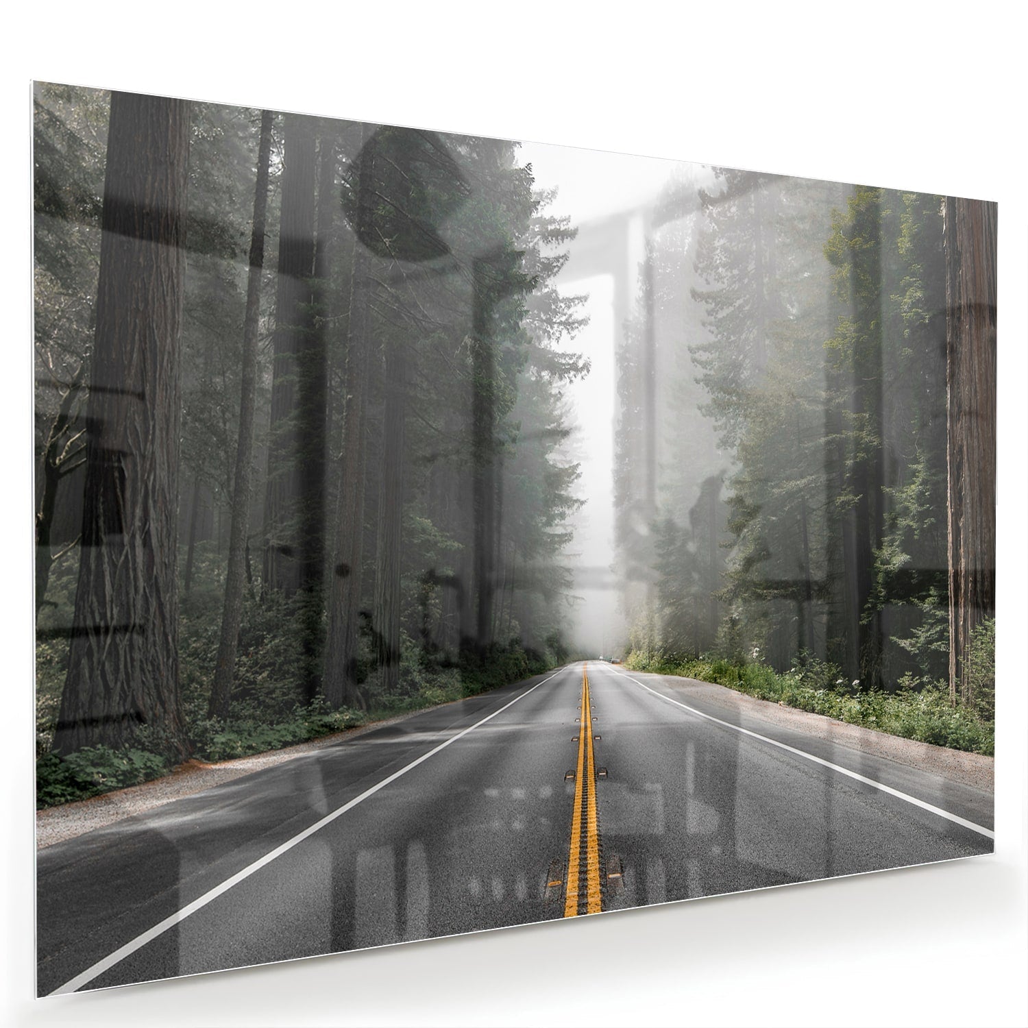 Glasbild – Erkundung eines nebligen Weges – Glasbild aus Sicherheitsglas, Größe 60x40