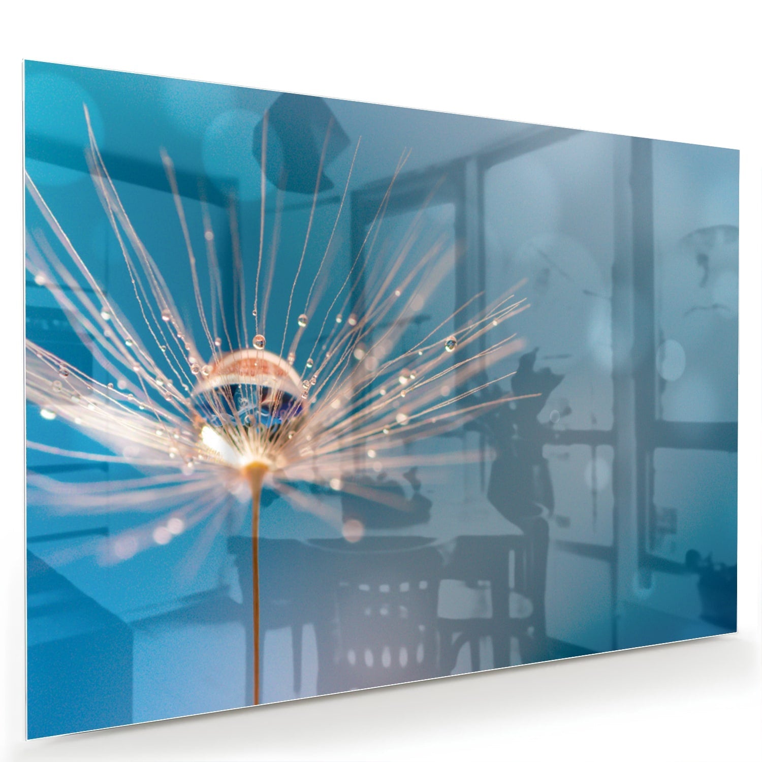 Elegantes Glasbild mit Löwenzahn-Design – Glasbild aus Sicherheitsglas, Größe 60x40