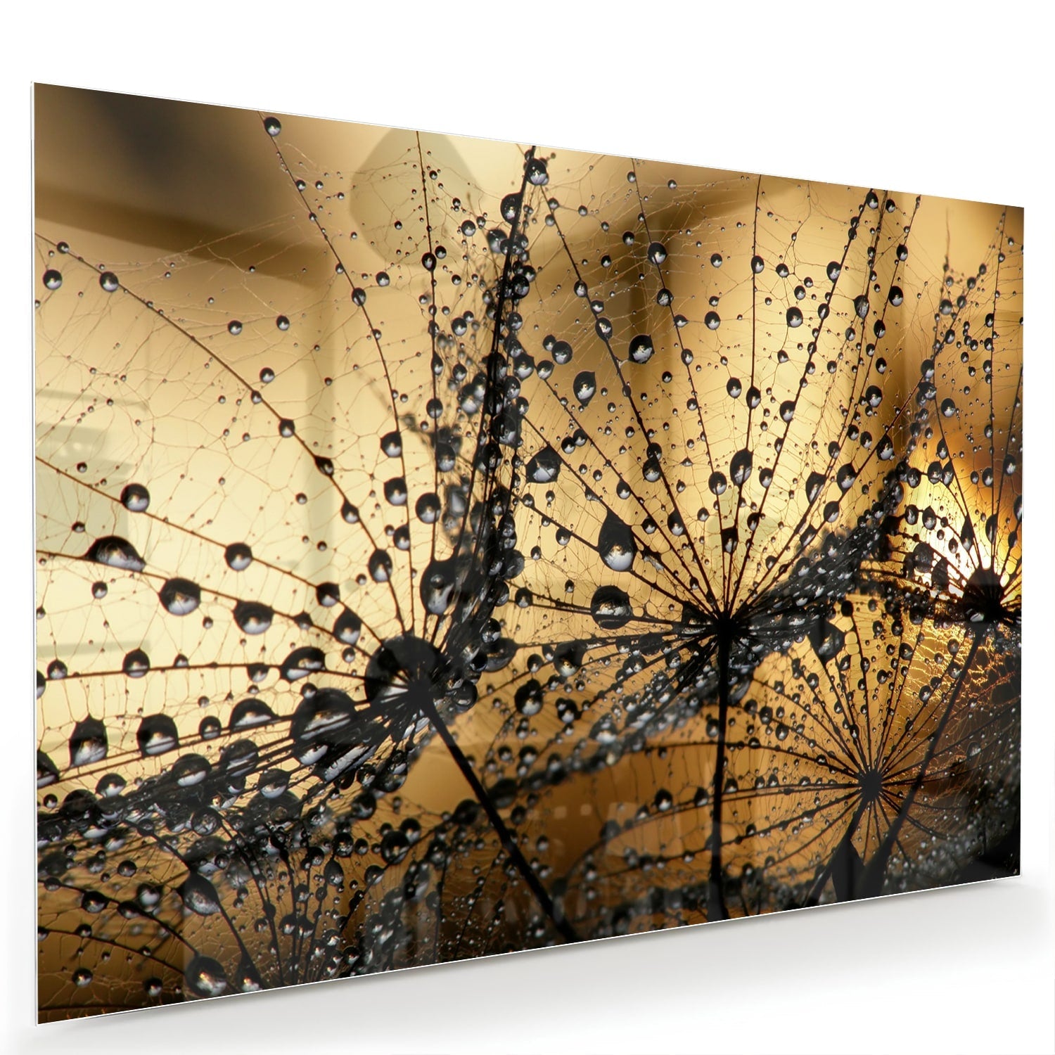 Glasbild mit goldenen Wassertropfen – Glasbild aus Sicherheitsglas, Größe 60x40