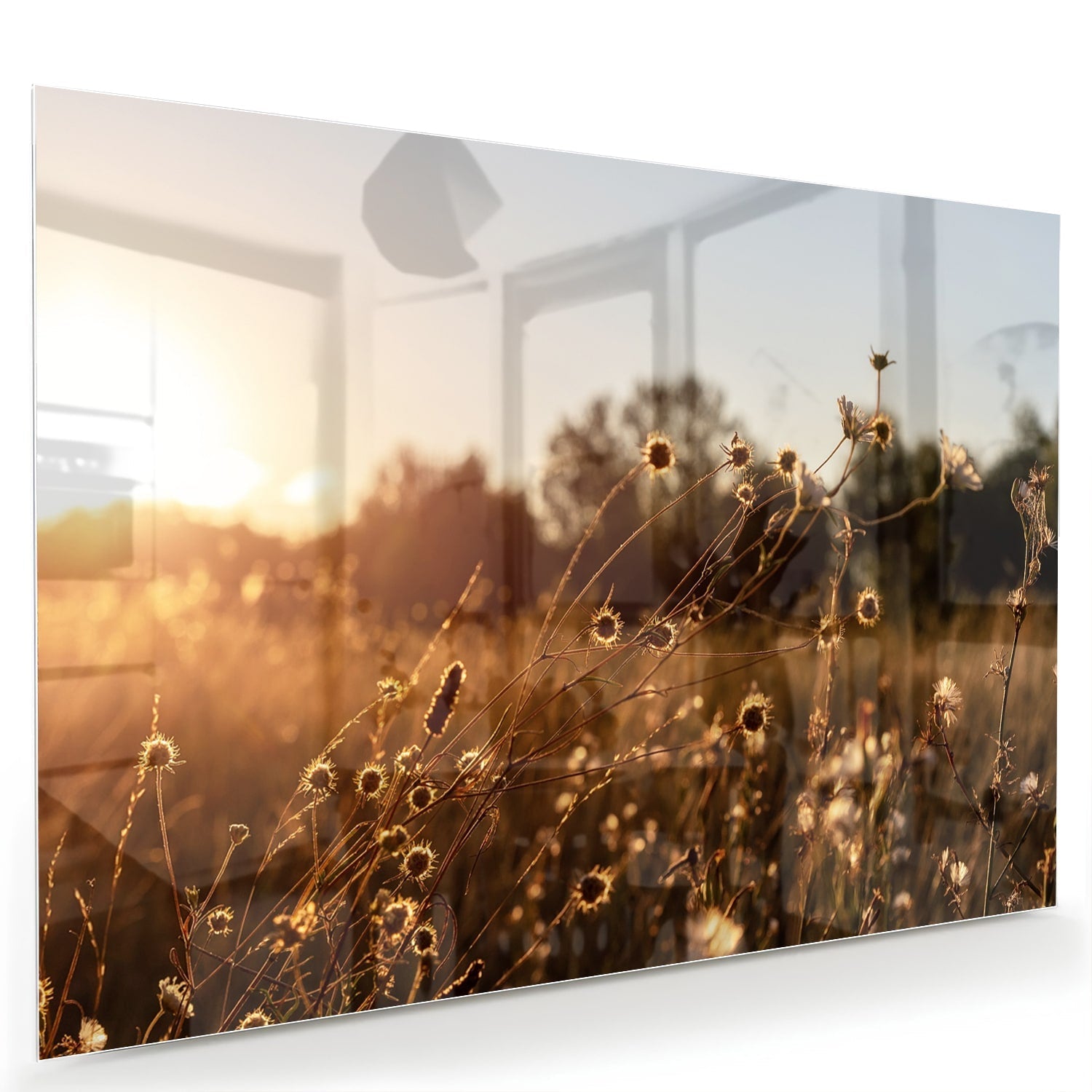 Zauberhaftes Glasbild mit goldenem Sonnenuntergang – Glasbild aus Sicherheitsglas, Größe 60x40