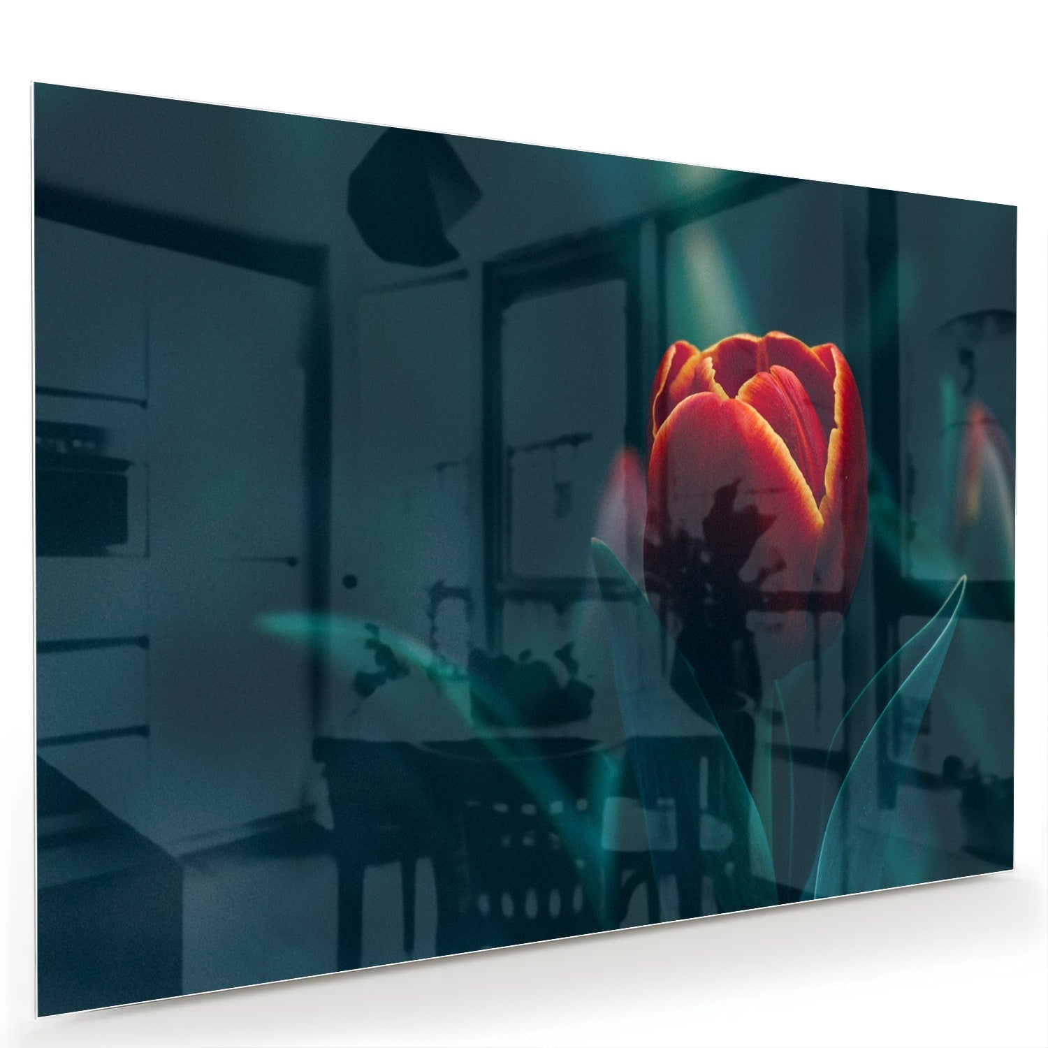 Glasbild mit roter Tulpe in einem modernen Interieur – Glasbild aus Sicherheitsglas, Größe 60x40