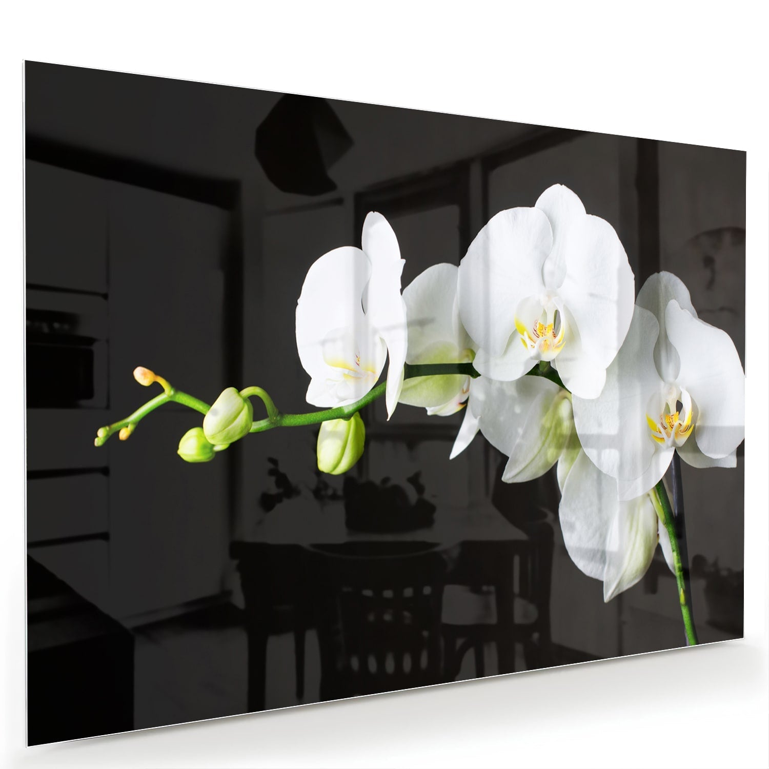 Elegantes Glasbild mit weißen Orchideen – Glasbild aus Sicherheitsglas, Größe 60x40