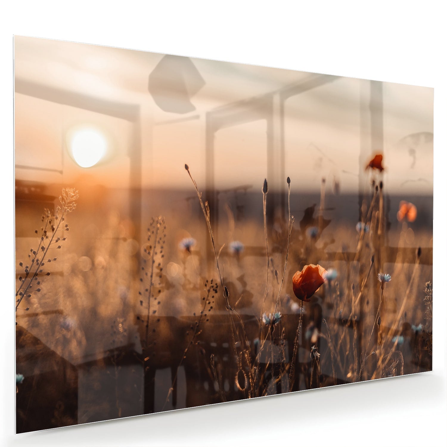 Glasbild – Mohnfeld in sanftem Glanz – Glasbild aus Sicherheitsglas, Größe 60x40