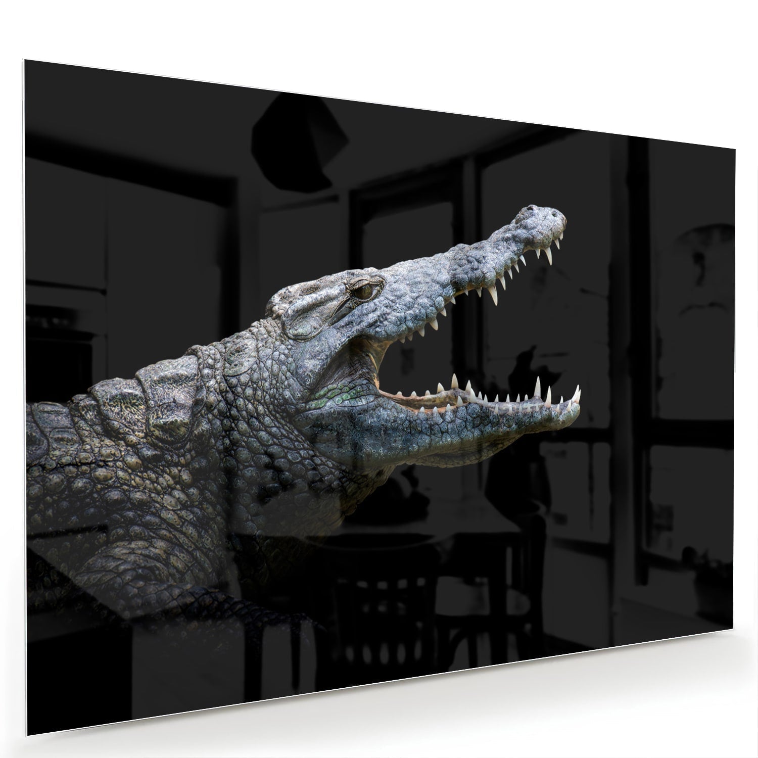 Beeindruckendes Glasbild mit einem Krokodil – Glasbild aus Sicherheitsglas, Größe 60x40