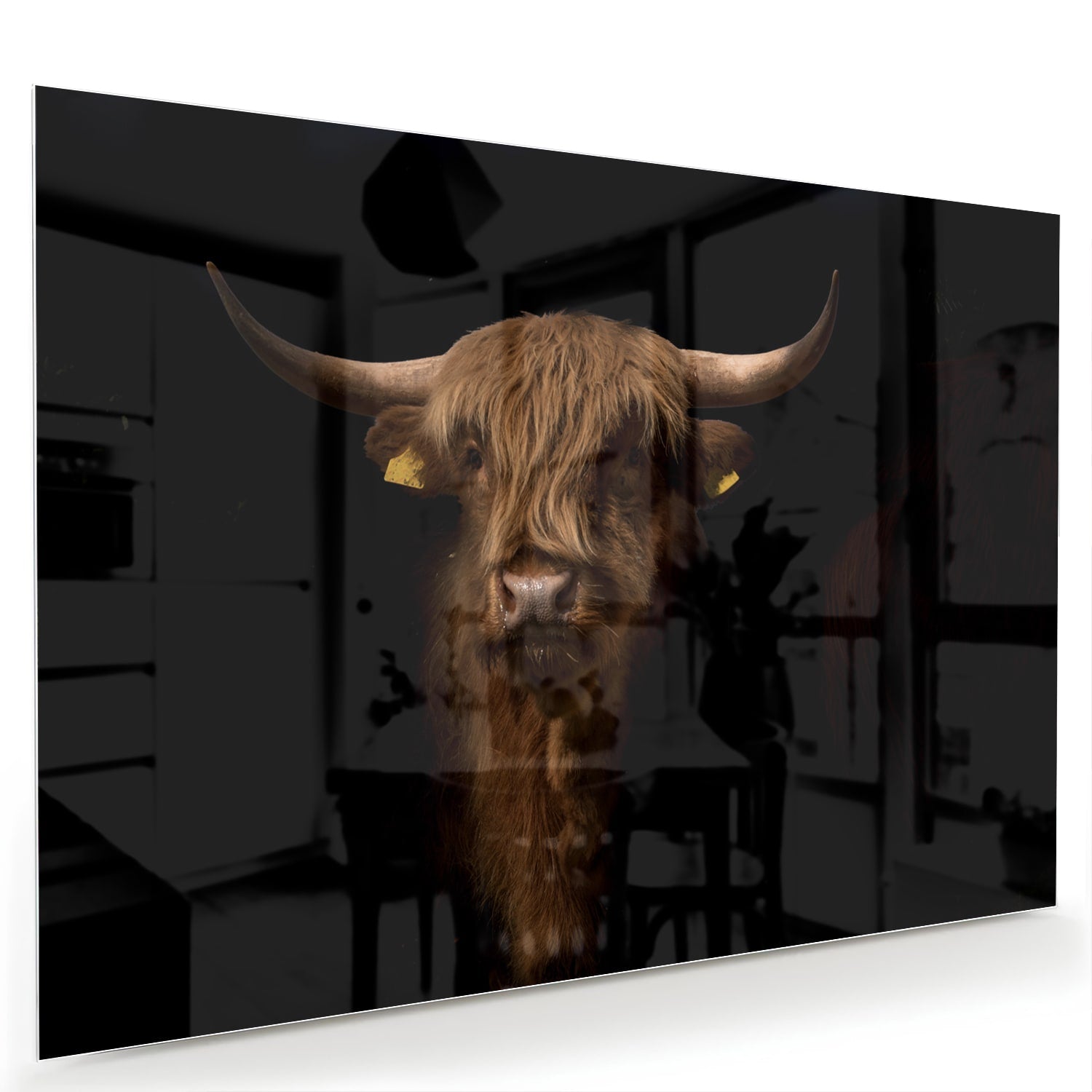 Glasbild mit kraftvollem Hochlandrind – Glasbild aus Sicherheitsglas, Größe 60x40