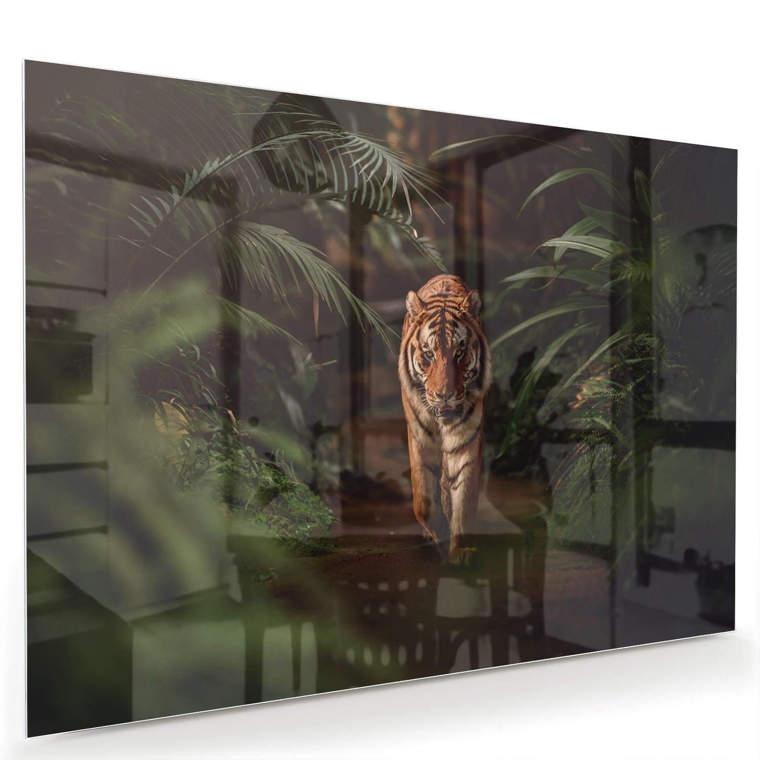 Elegantes Glasbild mit Tiger zwischen Blättern – Glasbild aus Sicherheitsglas, Größe 60x40